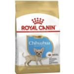 1,5kg Chihuahua Puppy/Chiot Royal Canin - Croquettes pour Chiot