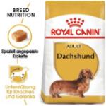 1,5kg Teckel Adult Royal Canin - Croquettes pour chien
