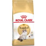 Croquettes Royal Canin Breed pour chat adultes 