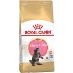 10kg Royal Canin Kitten Maine Coon - Croquettes pour Chaton Maine Coon