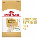 12kg Labrador Retriever Adult 5+ Royal Canin Breed - Croquettes pour chien