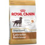 12kg Labrador Retriever Stérilisé Adult Royal Canin - Croquettes pour chien
