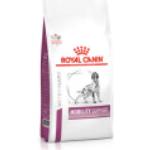 12kg Mobility Support Royal Canin Veterinary Diet - Croquettes pour chien