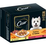 Nourriture Cesar pour chien 