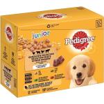 12x100g Multipack Pedigree Junior - Pâtée pour chien