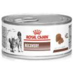 Nourriture Royal Canin Veterinary Diet à motif animaux pour chat adulte 
