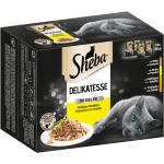 12x85g Multipack Sheba Délicatesse en gelée, volaille - Pâtée pour chat