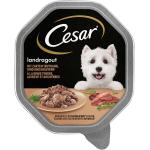 14x150g Mégapack Cesar Ragoût dinde, bœuf, herbes - Pâtée pour chien