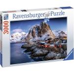 Puzzles Ravensburger 1.000 pièces 