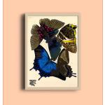Affiches vintage à motif papillons art déco 