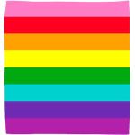 1978 Original Gay Pride Rainbow | Gilbert Baker Flag Bandana | Avec Ourlets Cousus