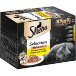 Nourriture Sheba pour chat en solde 