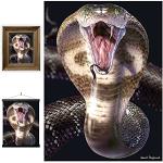 Posters 3D à motif serpents 
