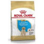 3kg Labrador Retriever Puppy/Chiot Royal Canin - Croquettes pour Chiot