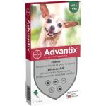 4 pipettes très petit chien Advantix® jusqu'à 4kg - Antiparasitaire pour chien