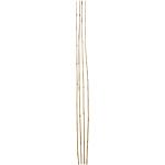 Tuteur - Bambou - 4 pièces - 150cm