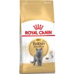 Croquettes Royal Canin Breed pour chat adultes 