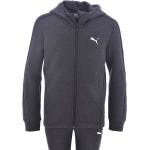 Sweats à capuche Puma gris Taille 14 ans look sportif pour garçon de la boutique en ligne Idealo.fr 