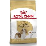 Croquettes Royal Canin Breed pour chien grandes tailles adultes 