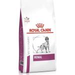 7kg Renal RF 14 Royal Canin Veterinary Diet Croquettes pour chien
