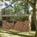 Abris de jardin Forest Style marron en pin en bois 