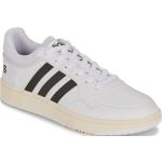 Baskets basses adidas Hoops blanches Pointure 42 look casual pour homme en promo 