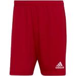 Shorts de football adidas Power rouges en polyester Taille M look fashion pour homme 