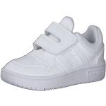 Baskets velcro adidas Hoops blanches en fibre synthétique à scratchs Pointure 24 look fashion pour bébé en promo 