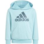 Adidas Originals - Kids > Tops > Sweatshirts - Blue -