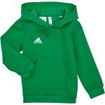 Sweatshirts adidas verts Taille 10 ans pour garçon de la boutique en ligne Spartoo.com avec livraison gratuite 