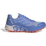 adidas TERREX Agravic Flow 2 GTX Shoes Men, bleu UK 9 | EU 43 1/3 2023 Chaussures trail
