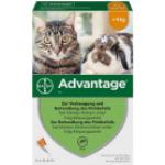 Advantage, traitement anti puces pour chat Advantage 40 - 4 pipettes de 0.4 ml