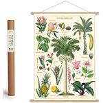 Affiche vintage avec baguettes en bois (cadre) et ficelle à suspendre Motif plantes tropicales, forêt tropicale