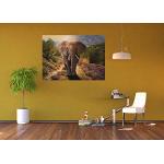 Papiers peints photo multicolores à motif éléphants 