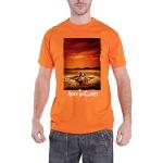 Alice In Chains T Shirt Dirt Band Logo Nouveau Officiel Homme Orange Size L