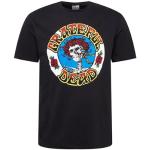 Amplified T-Shirt Grateful Dead Stealie avec Logo Noir, Noir, XL