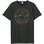 Amplified Unisex Adult 1972 Tour Pink Floyd T-Shirt