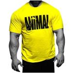 Animal T- Shirt Iconic Pak Premium, Jaune, XL Homme