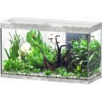 Aquatlantis Aquarium Splendid 200 - Frêne Blanc - 1 pcs