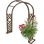 Arches de jardin en métal romantiques 