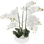 Jardibricodeco - Plante artificiel Orchidée pot blanc H.65 cm Blanc / Vert