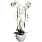 Orchidées artificielles Atmosphera blanches en acier de 53 cm 