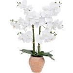 Orchidées artificielles Atmosphera blanches en céramique 