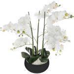 Atmosphera Plante artificielle Orchidée dans Pot en céramique noire H 62 cm - blanc multi-matériau 3560239702412