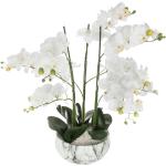 Orchidées artificielles Atmosphera blanches 