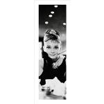 Tableaux sur toile Pyramid International Audrey Hepburn 