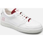 Baskets  TBS blanches Pointure 42 pour homme 