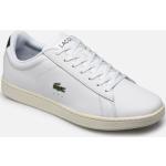 Chaussures Lacoste Carnaby blanches en cuir pour homme 