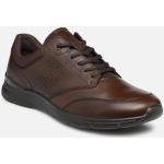 Chaussures Ecco Irving marron en cuir éco-responsable Pointure 43 pour homme 