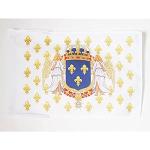 Drapeau Royaume de France Anges 45x30cm - PAVILLON royaliste français fleur de lys 30 x 45 cm haute qualité - AZ FLAG